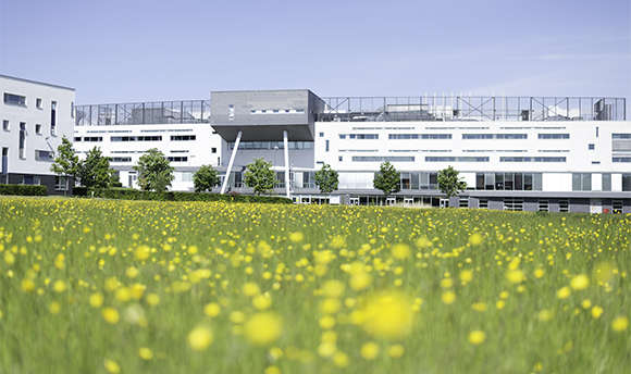 A low angle image of 6Ͽ Campus with flowers in the foreground